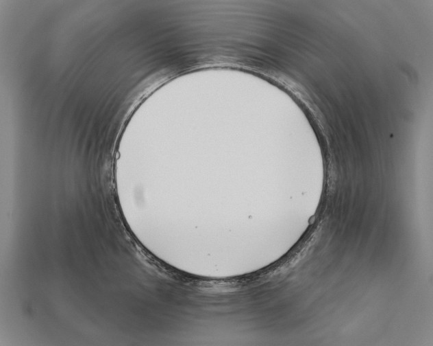 X0000112201145200909181528