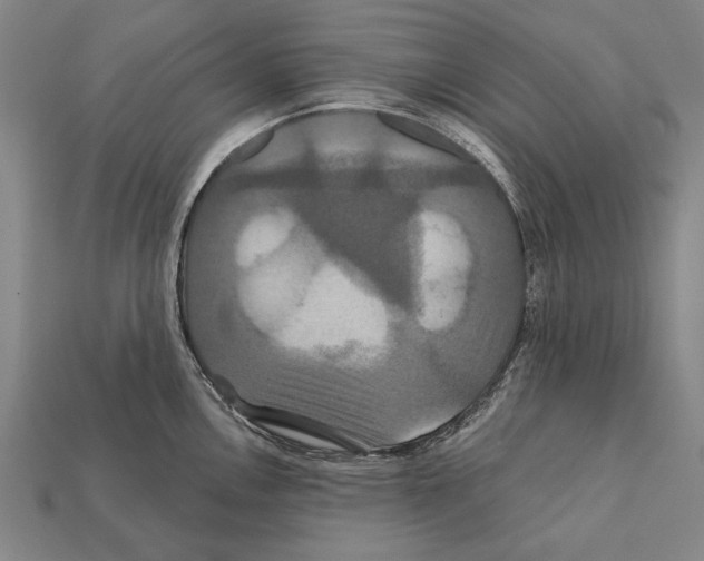 X0000112201146200909181528