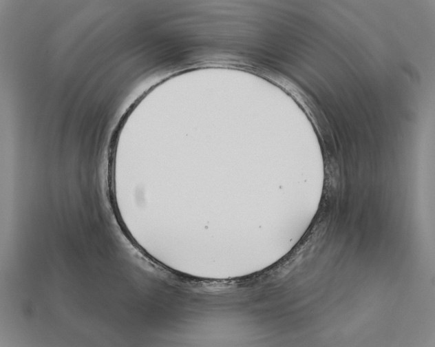 X0000112201147200909181528
