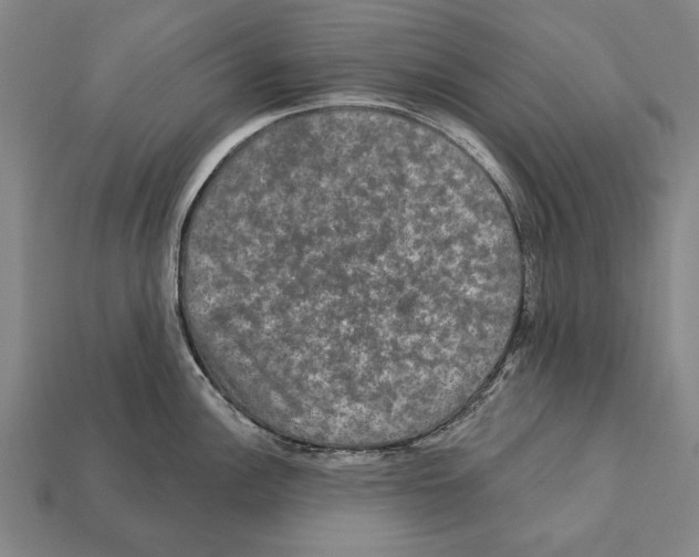 X0000112201148200909181528