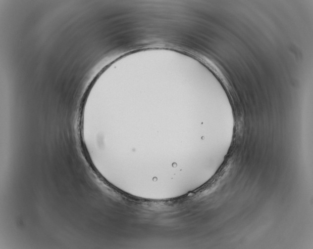 X0000112201149200909181528