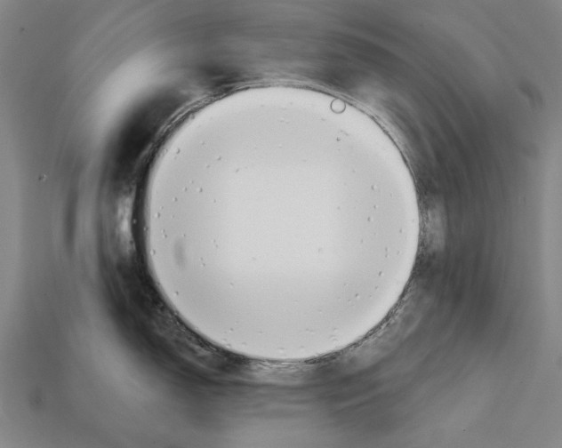 X0000112201150200909181528