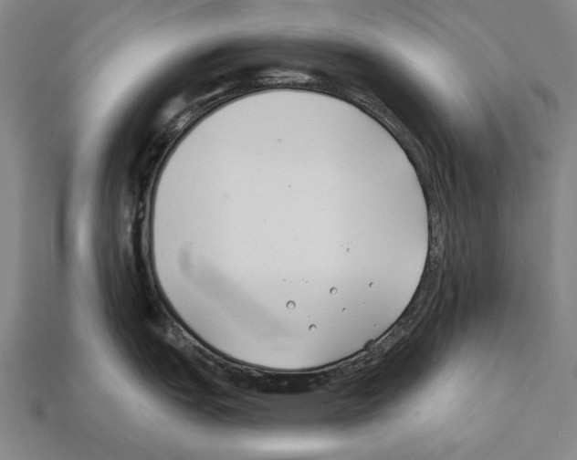 X0000112201151200909181528