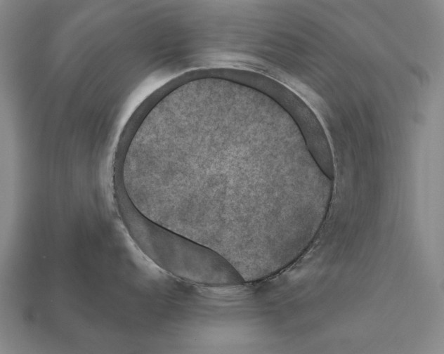 X0000112201152200909181528