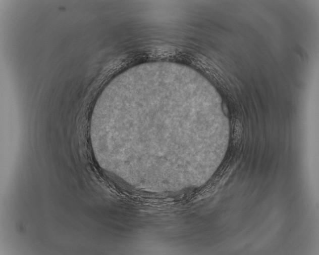X0000112201153200909181527