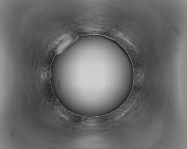X0000112201157200909181527