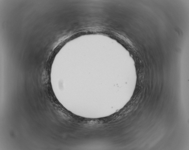 X0000112201160200909181527