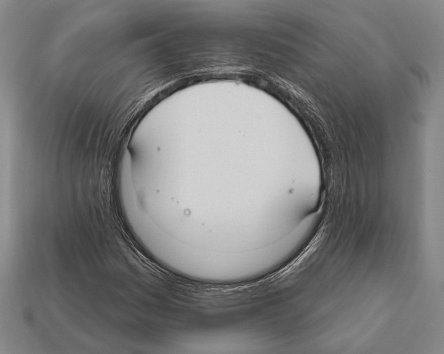 X0000112201161200909181527