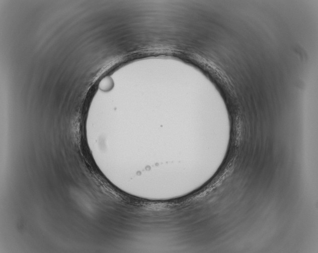 X0000112201162200909181527