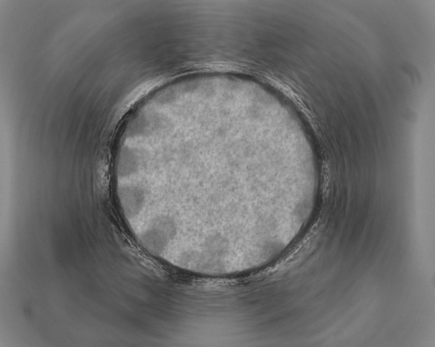 X0000112201163200909181527