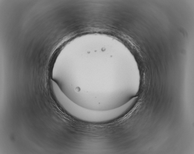 X0000112201165200909181527