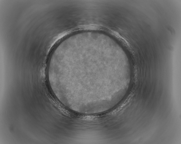 X0000112201166200909181527
