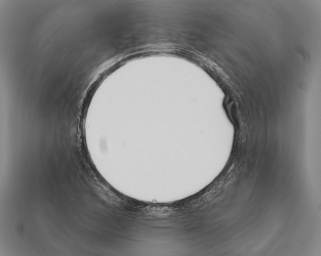 X0000112201168200909181527