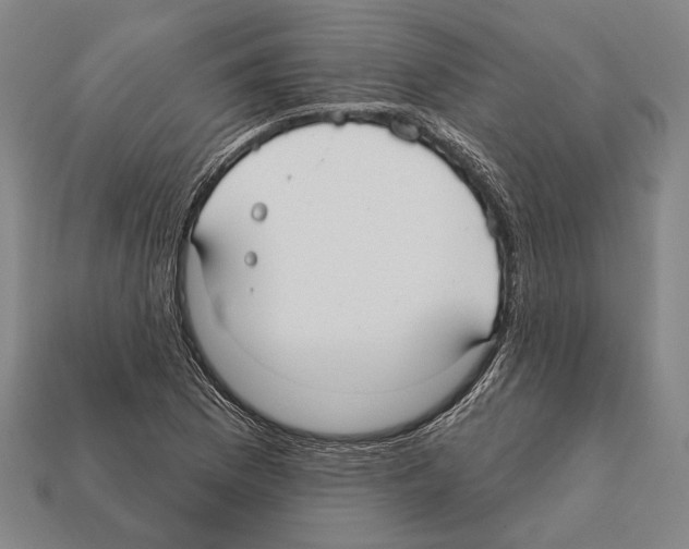 X0000112201169200909181527
