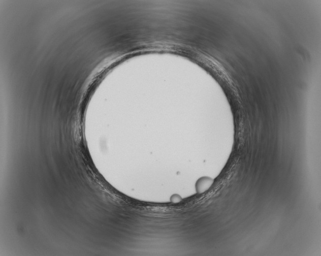 X0000112201172200909181527