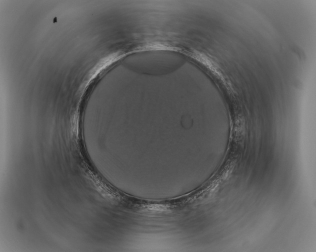 X0000112201173200909181527