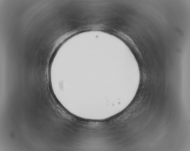 X0000112201176200909181527