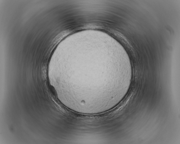 X0000112201177200909181527