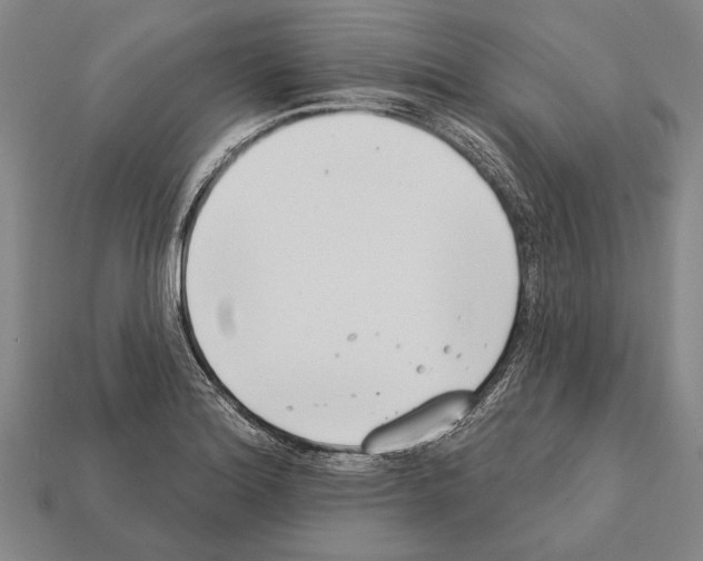 X0000112201180200909181527
