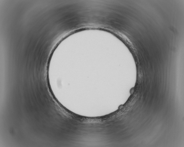 X0000112201183200909181527