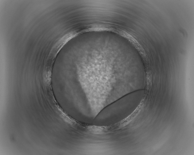 X0000112201185200909181527