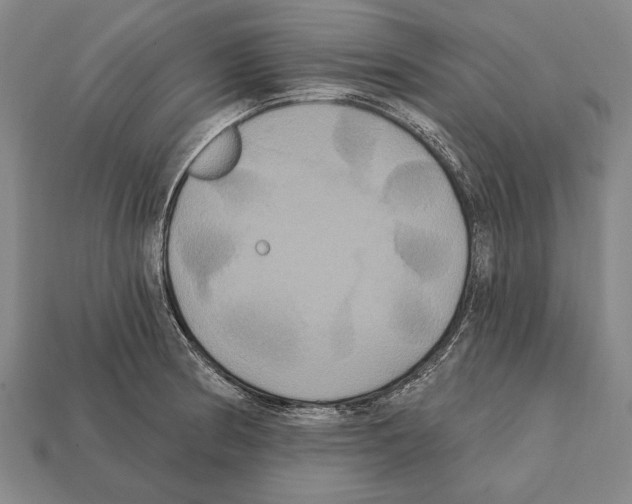 X0000112201186200909181527