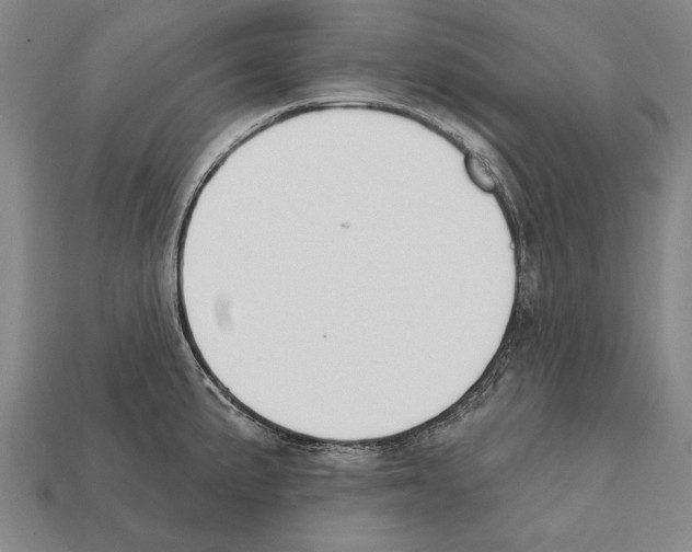 X0000112201191200909181527