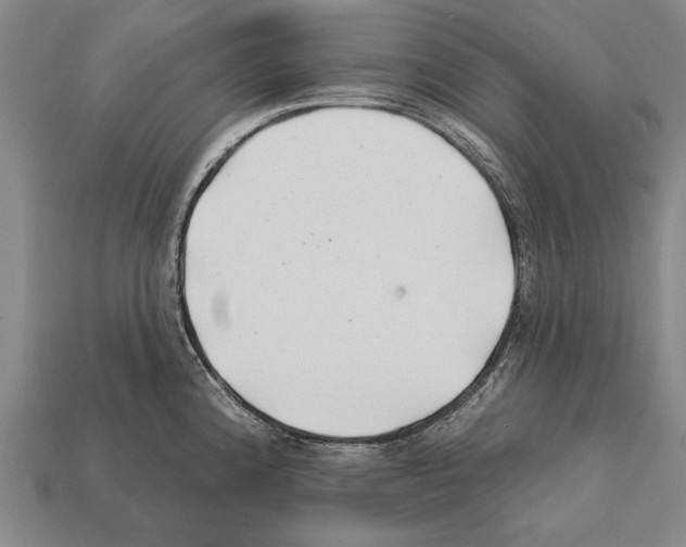 X0000112201192200909181527