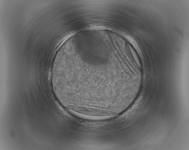 X0000112201193200909181527