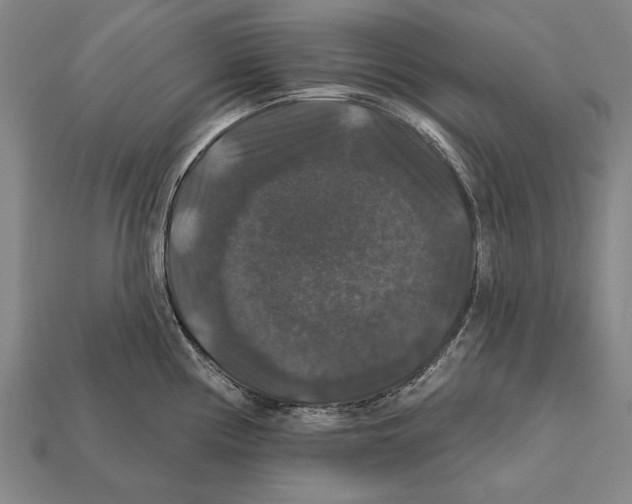 X0000112201194200909181527
