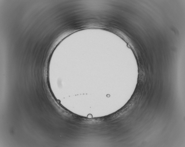 X0000112201195200909181527