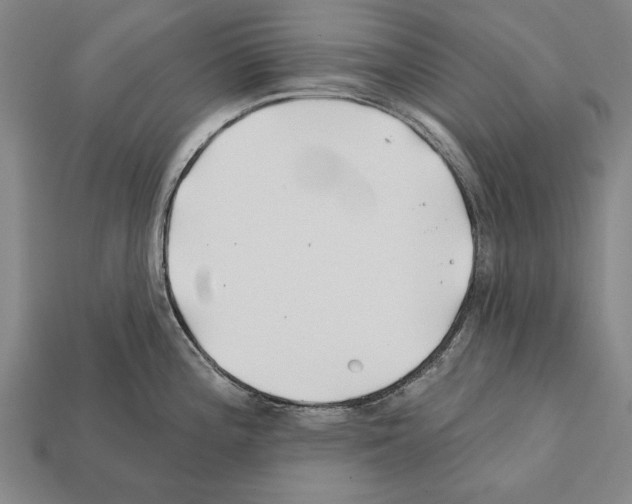 X0000112201196200909181527