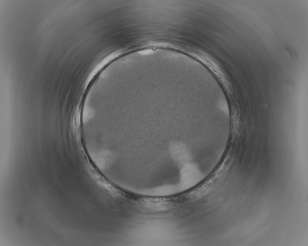 X0000112201198200909181527