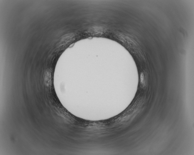 X0000112201203200909181526