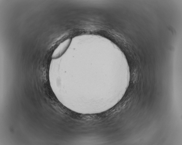X0000112201205200909181526