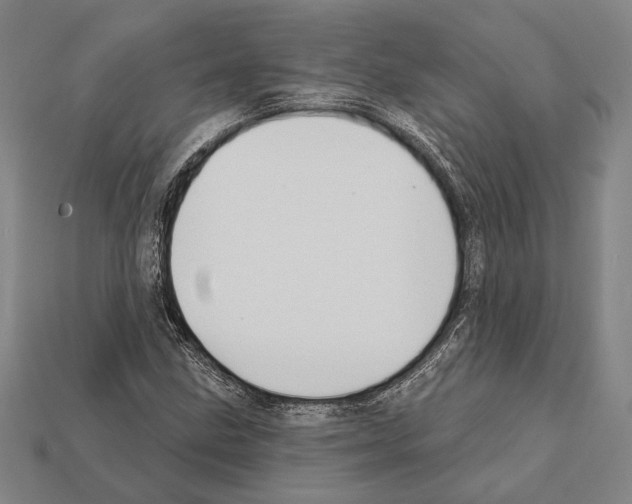 X0000112201211200909181526