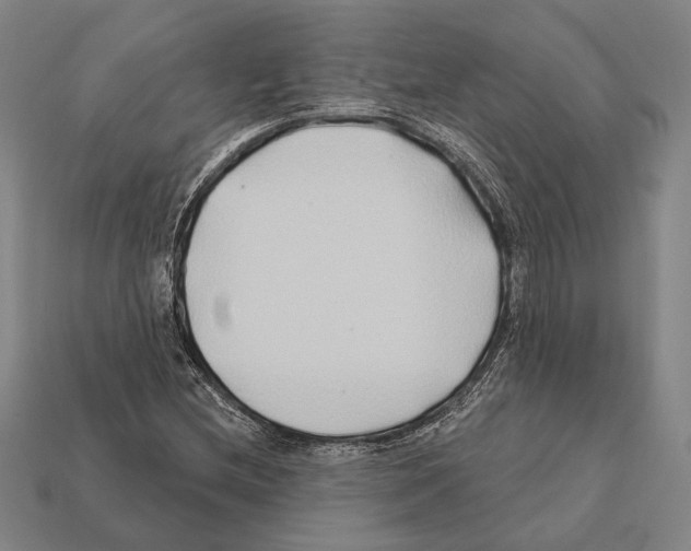 X0000112201212200909181526