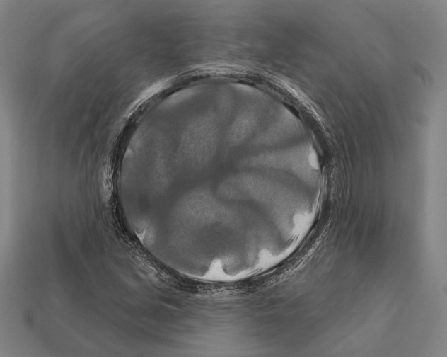 X0000112201213200909181526
