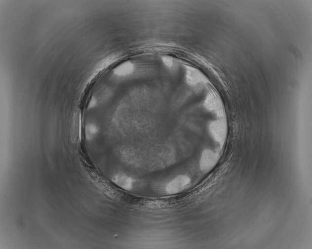 X0000112201219200909181526