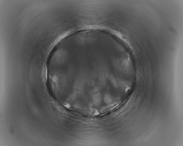 X0000112201221200909181526