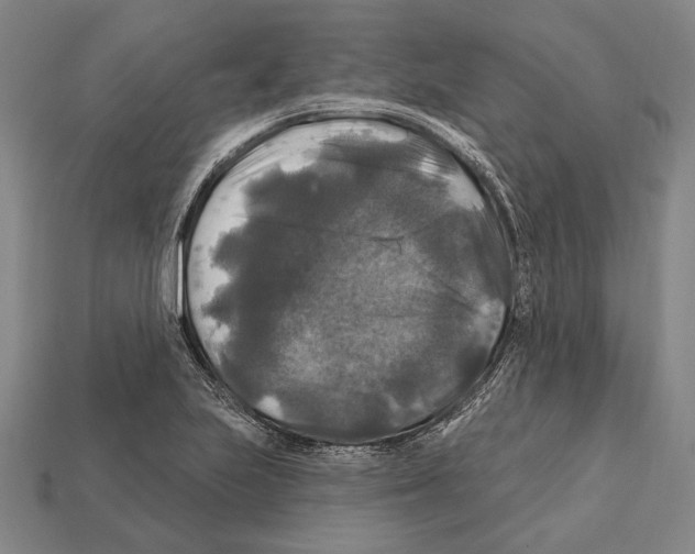 X0000112201223200909181526