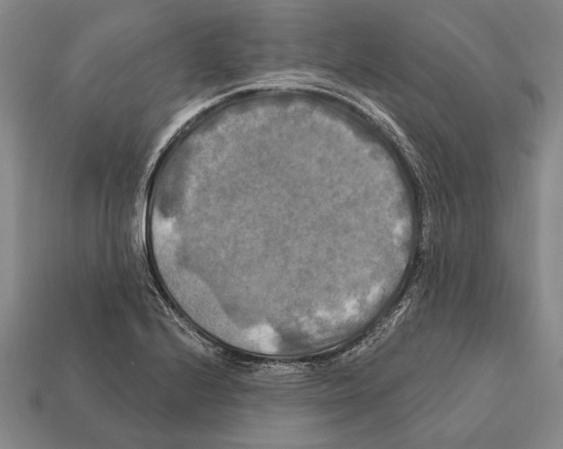 X0000112201224200909181526
