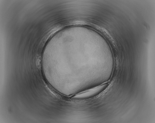 X0000112201225200909181526
