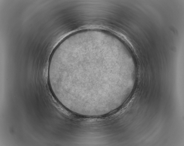 X0000112201228200909181526