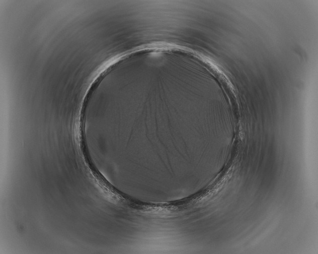 X0000112201229200909181526