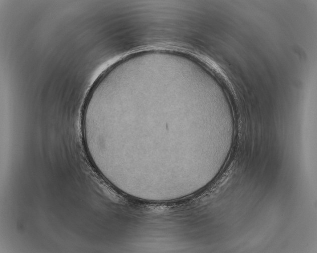 X0000112201230200909181526