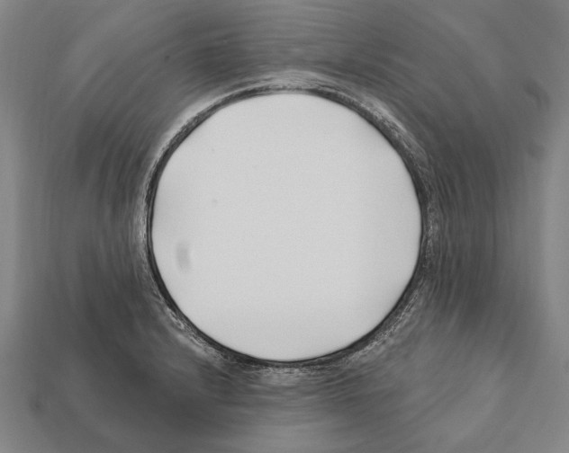 X0000112201232200909181526