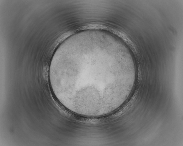 X0000112201233200909181526