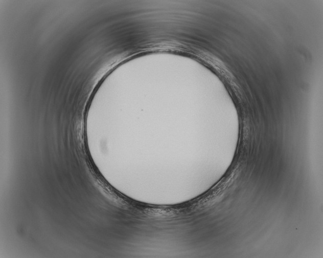 X0000112201234200909181526