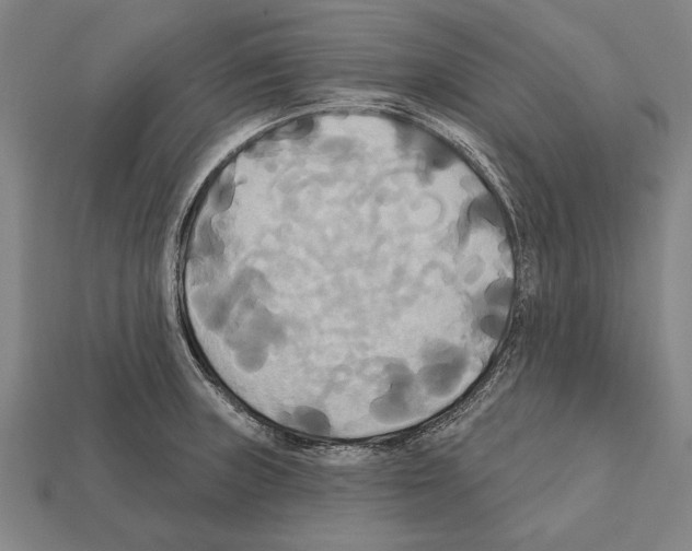 X0000112201235200909181526